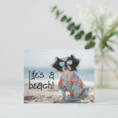 Japanischer Chin Puppy mit Sonnenbrille Postkarte (Stehend Vorderseite)