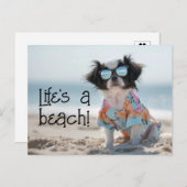 Japanischer Chin Puppy mit Sonnenbrille Postkarte (Vorne/Hinten)