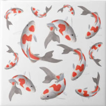 Japanischer Fisch Koi-Orange und Weiß asiatisch