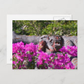 japanischer Gargoyle Postkarte (Vorne/Hinten)