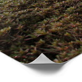 Japanischer Garten-02 Poster (Ecke)