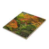 Japanischer Garten im Herbst in Portland, Oregon 2 Fliese (Seite)