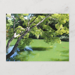 Japanischer Garten in Fort Worth Texas # 93 Postkarte
