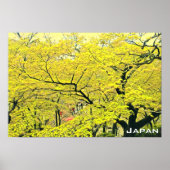 Japanischer Gelbgingko-Baumreise-Druck Poster (Vorne)