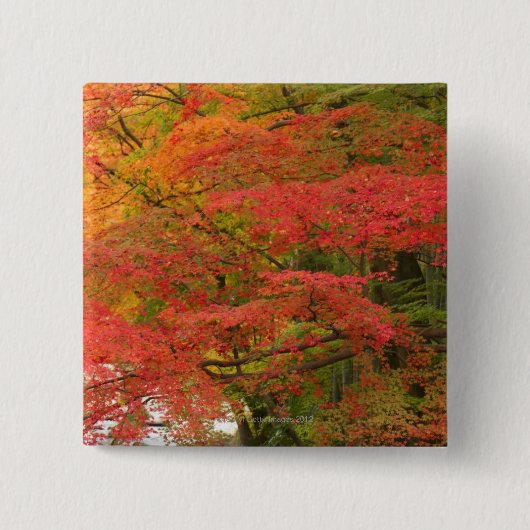 Japanischer Herbstlaub Button (Vorderseite)