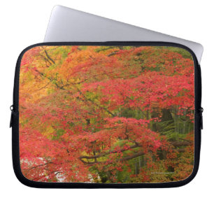 Japanischer Herbstlaub Laptopschutzhülle