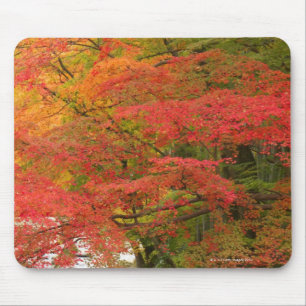 Japanischer Herbstlaub Mousepad