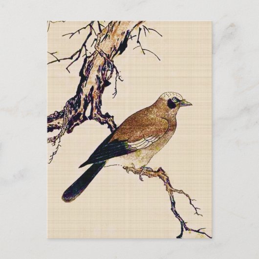 Japanischer Holzschnitt aus Finch, Braun und Beige Postkarte (Vorderseite)