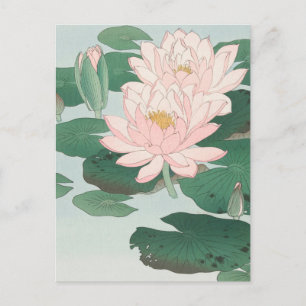 Japanischer Holzschnittdruck Rosa Wasserlilie Postkarte