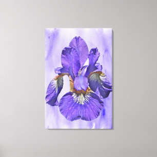 Japanischer Iris - Geboren des Lila Leinwanddruck