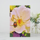 Japanischer Käfer auf White Rose (Stehend Vorderseite)