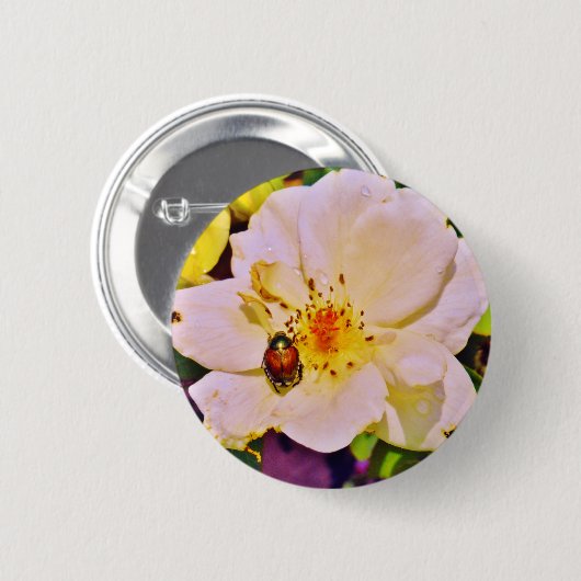 Japanischer Käfer auf White Rose Button (Vorne & Hinten)