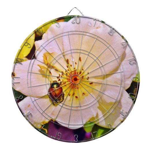 Japanischer Käfer auf White Rose Dartscheibe (vorne)