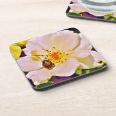 Japanischer Käfer auf White Rose Getränkeuntersetzer (Linke Seite)