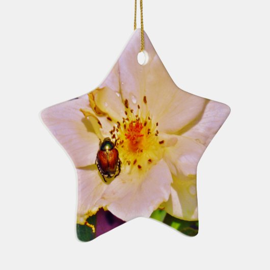 Japanischer Käfer auf White Rose Keramik Ornament (Rechts)