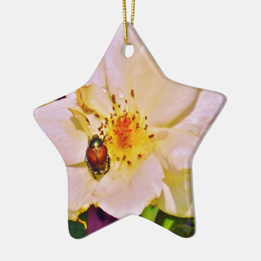 Japanischer Käfer auf White Rose Keramik Ornament (Links)