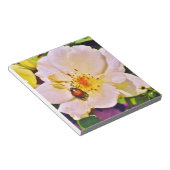 Japanischer Käfer auf White Rose Notizblock (angewinkelt)