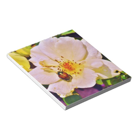 Japanischer Käfer auf White Rose Notizblock (angewinkelt)