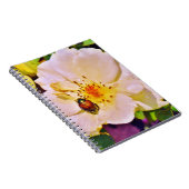 Japanischer Käfer auf White Rose Notizblock (Rechte Seite)