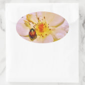 Japanischer Käfer auf White Rose Ovaler Aufkleber (Tasche)