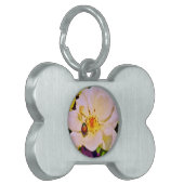 Japanischer Käfer auf White Rose Tiermarke (Vorderseite links)