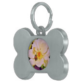 Japanischer Käfer auf White Rose Tiermarke (Vorderseite rechts)