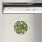 Japanischer Käfermagnet Magnet (In Situ (Geschirrspüler))