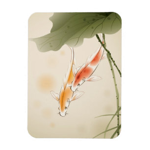 Japanischer Karpfen fischt Schwimmen im Lotosteich Magnet