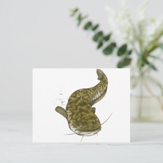 Japanischer Katfisch Postkarte (Stehend Vorderseite)