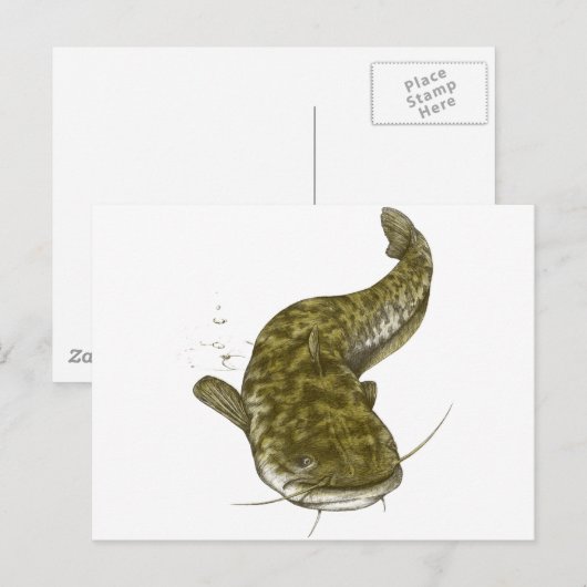Japanischer Katfisch Postkarte (Vorne/Hinten)