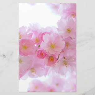 Japanischer Kirschbaum Blossom Briefpapier