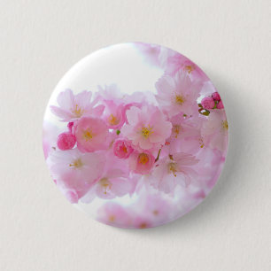 Japanischer Kirschbaum Blossom Button