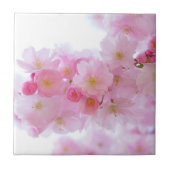 Japanischer Kirschbaum Blossom Fliese (Vorderseite)