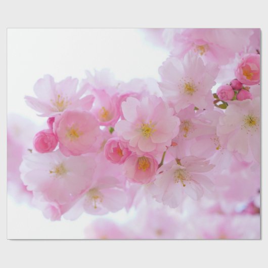 Japanischer Kirschbaum Blossom Geschenkpapier (Flach)