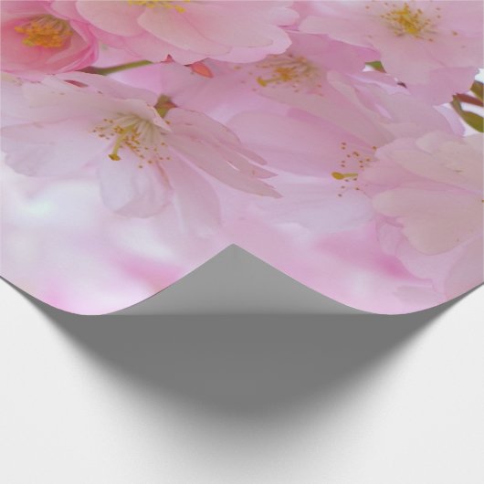 Japanischer Kirschbaum Blossom Geschenkpapier (Ecke)
