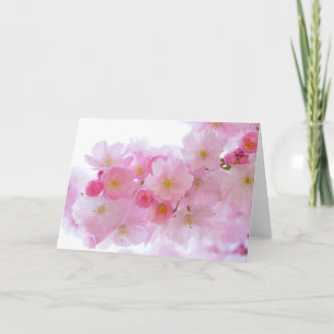Japanischer Kirschbaum Blossom Karte