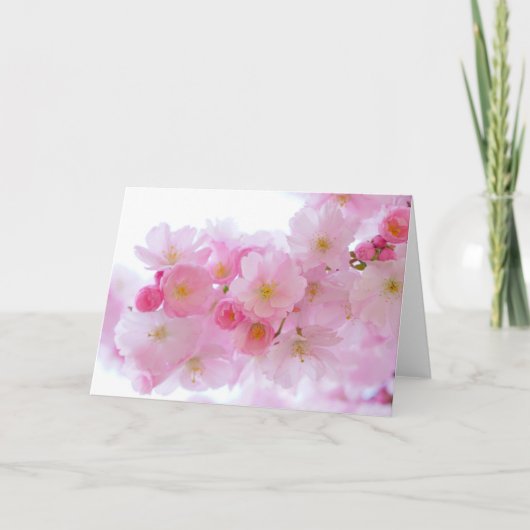 Japanischer Kirschbaum Blossom Karte (Vorderseite)