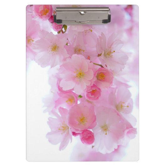 Japanischer Kirschbaum Blossom Klemmbrett (Vorderseite)