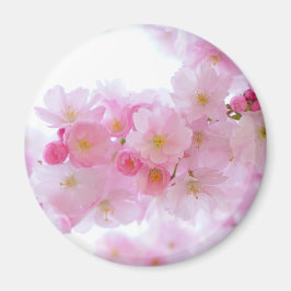 Japanischer Kirschbaum Blossom Magnet