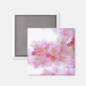 Japanischer Kirschbaum Blossom Magnet (Vorderseite/Rückseite)