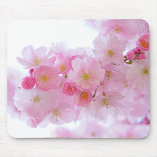 Japanischer Kirschbaum Blossom Mousepad (Vorne)
