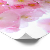 Japanischer Kirschbaum Blossom Poster (Ecke)