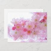 Japanischer Kirschbaum Blossom Postkarte (Vorne/Hinten)