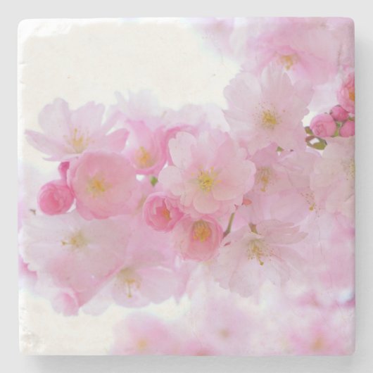 Japanischer Kirschbaum Blossom Steinuntersetzer (Vorderseite)