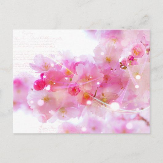 Japanischer Kirschbaum mit pastellrosa Blüten Postkarte (Vorderseite)