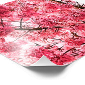 Japanischer Kirschblossom-Baum (2013) Fotodruck (Ecke)