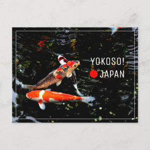 Japanischer Koi-Fisch Nishikigoi-Postüberquerung Postkarte