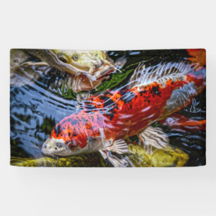 Japanischer Koi Fish Pond Banner