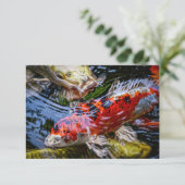 Japanischer Koi Fish Pond Dankeskarte (Stehend Vorderseite)
