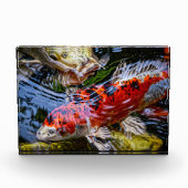 Japanischer Koi Fish Pond Fotoblock (Vorderseite)